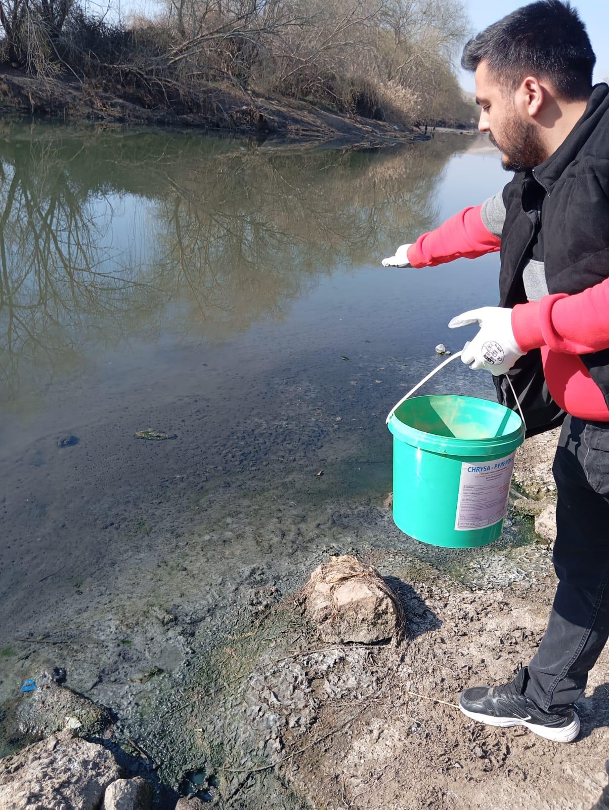 larvas-t-calismalarimiz-devam-ed-yor